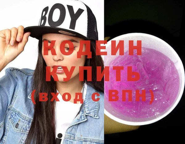 эйфоретик Алзамай