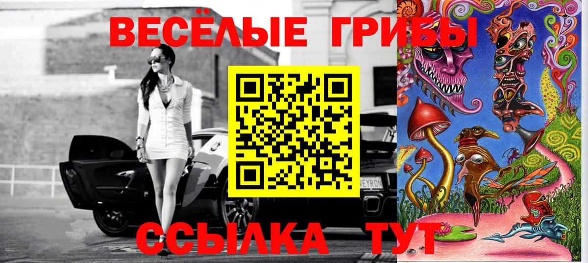 Выкса  Псилоцибиновые грибы Psilocybine cubensis  Вход с VPN 